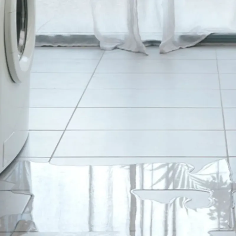 Appliance Leak Cleanup in New Lebanon, OH