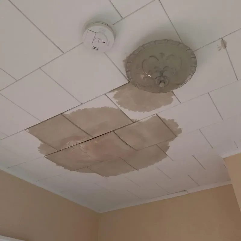 Ceiling Water Damage Repair in New Lebanon, OH