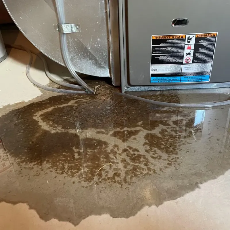 Pipe Burst and Leak Restoration in New Lebanon, OH