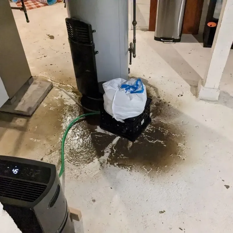 Sewage Backup Cleanup Service in New Lebanon, OH